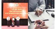 Trung tâm tư vấn pháp luật không có biển hiệu bị đình chỉ hoạt động?