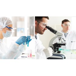 Điều kiện của người làm công tác dược lâm sàng tại bệnh viện 2024