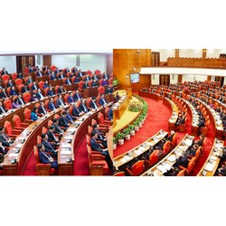 Ban Kinh tế Trung ương được yêu cầu cơ quan nào báo cáo đột xuất?
