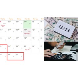 Thời hạn nộp tờ khai thuế của Quý 01 năm 2024 vào thời điểm nào?
