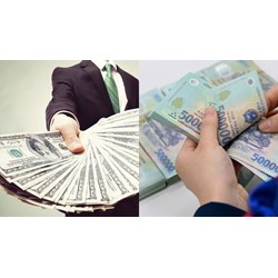 Tăng mức xử phạt vi phạm hành chính lĩnh vực tiền lương
