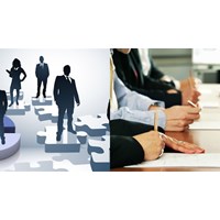CMO trở thành đại diện theo pháp luật của công ty TNHH 2 thành viên?