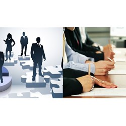 CMO trở thành đại diện theo pháp luật của công ty TNHH 2 thành viên?