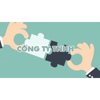 Kế toán viên tại công ty TNHH 2 thành viên phải góp vốn vào công ty?
