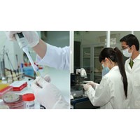 Thời hạn giám định tư pháp trong lĩnh vực tư pháp