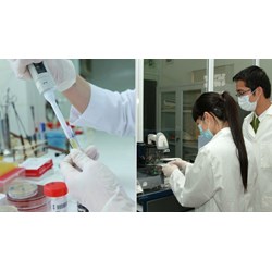 Thời hạn giám định tư pháp trong lĩnh vực tư pháp