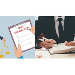 Tập sự hành nghề luật sư có quyền giúp khách hàng thủ tục hành chính không