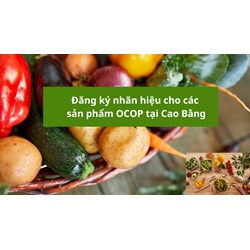 Đăng ký nhãn hiệu cho các sản phẩm OCOP tại Cao Bằng như thế nào?