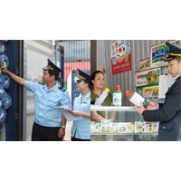 Nghị định 03/2024/NĐ-CP về cơ quan thực hiện thanh tra chuyên ngành