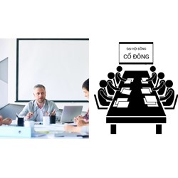 Công ty đại chúng họp Đại hội đồng cổ đông thường niên mấy lần/năm?