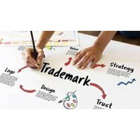 The use of a trademark on a website: Admissible proof in Vietnam?