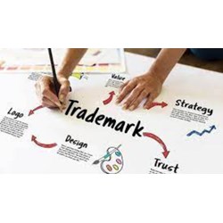 The use of a trademark on a website: Admissible proof in Vietnam?