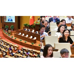 Chính thức thông qua Luật Các tổ chức tín dụng (sửa đổi) tại Kỳ họp bất thường