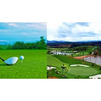 Đất trồng lúa vùng trung du miền núi được làm dự án sân gôn không