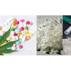 Hồ sơ đề nghị cấp giấy phép nhập khẩu mẫu chất ma túy vì mục đích quốc phòng