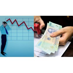 Phạt khi có quyết định phá sản không báo cáo trước khi trả lương