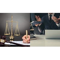 Giáo sư chuyên ngành luật có được miễn đào tạo nghề luật sư không