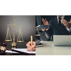Giáo sư chuyên ngành luật có được miễn đào tạo nghề luật sư không