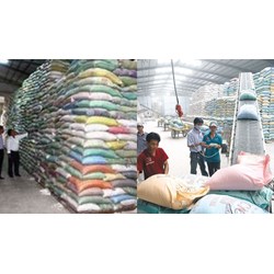 Mức phụ cấp thâm niên với người làm công tác dự trữ quốc gia