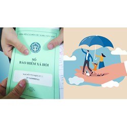 Giám đốc công ty là người nước ngoài có phải tham gia bảo hiểm?