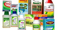 Quảng cáo thuốc bảo vệ thực vật có phải ghi tên hoạt chất thuốc?