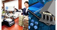 Tổ chức tín dụng phi ngân hàng trong nước thành lập hình thức công ty TNHH