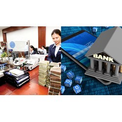 Tổ chức tín dụng phi ngân hàng trong nước thành lập hình thức công ty TNHH