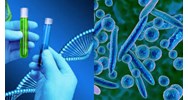 Các bước tách chiết DNA của nấm khi giám định nấm gây bệnh thực vật