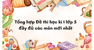 Tổng hợp Đề thi học kì 1 lớp 5 đầy đủ các môn mới nhất