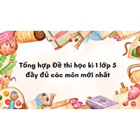 Tổng hợp Đề thi học kì 1 lớp 5 đầy đủ các môn mới nhất