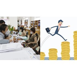 Mức lương thấp nhất công chức, viên chức từ ngày 01/07/2024