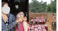 Có được hưởng chế độ ưu đãi khi xung phong kháng chiến bị nhiễm chất độc hóa học