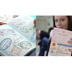 Cấp loại thị thực nào cho thành viên đoàn khách mời của Chủ tịch nước?