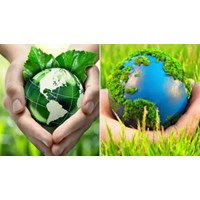 Ưu điểm và hạn chế của Luật thuế bảo vệ môi trường
