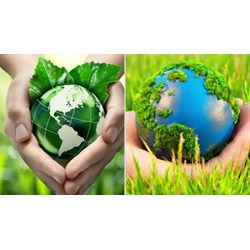 Ưu điểm và hạn chế của Luật thuế bảo vệ môi trường