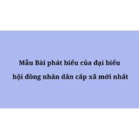 Mẫu Bài phát biểu của đại biểu hội đồng nhân dân cấp xã mới nhất