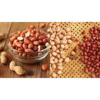Cơ sở và công cụ dùng để xác định chất lượng lạc quả và lạc hạt?