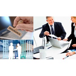 Quy định về chi nhánh doanh nghiệp bảo hiểm phi nhân thọ nước ngoài