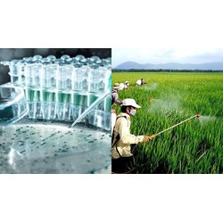 Thiết bị, dụng cụ được sử dụng để giám định nấm gây bệnh thực vật