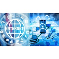 Thông tin trên internet được tổ chức như thế nào? - Tin học lớp 6