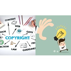 Những điều cần biết để tránh vi phạm bản quyền hình ảnh năm 2024