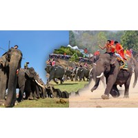 Thuyết minh về lễ hội đua voi ở Tây Nguyên siêu hay