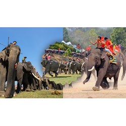 Thuyết minh về lễ hội đua voi ở Tây Nguyên siêu hay