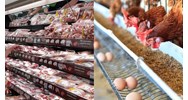 Yêu cầu khi truy xuất nguồn gốc bên ngoài chuỗi cung ứng thịt gia súc