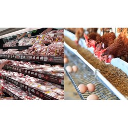 Yêu cầu khi truy xuất nguồn gốc bên ngoài chuỗi cung ứng thịt gia súc