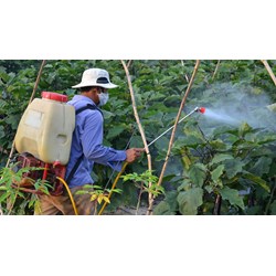 Mức phạt khi sử dụng thuốc bảo vệ thực vật sai hướng dẫn
