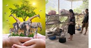 Trình độ người được giao thu thập nguyên liệu nguồn gốc động vật?