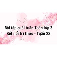 Bài tập cuối tuần Toán lớp 3 Kết nối tri thức - Tuần 28 có đáp án