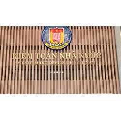 Nhiệm vụ Phó Tổng Kiểm toán nhà nước giúp Tổng Kiểm toán nhà nước
