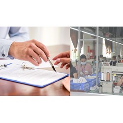 Ai có quyền yêu cầu về  sửa đổi bổ sung hợp đồng lao động?